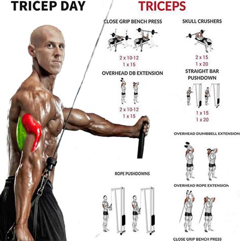 Best Triceps Pushdown Exercise Variation .